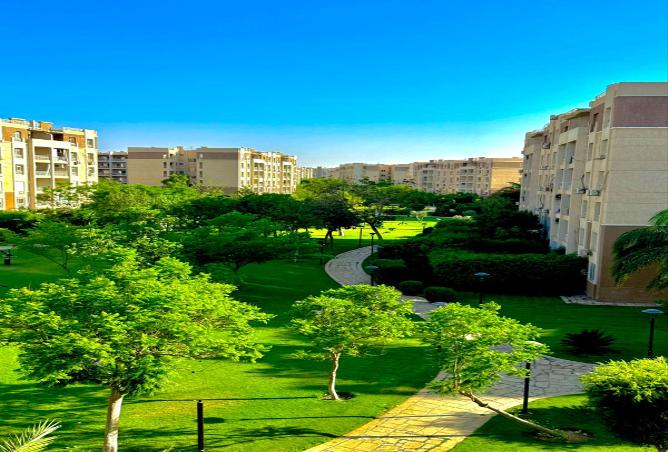 7999115 - الصورة الرئيسية للعقار