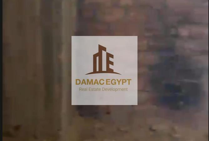 8375449 - Property Image 3