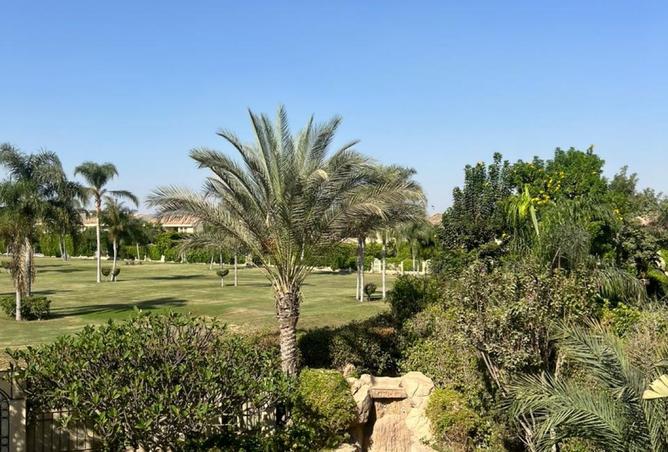 7930303 - الصورة الرئيسية للعقار