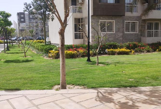 8272893 - صورة العقار 2