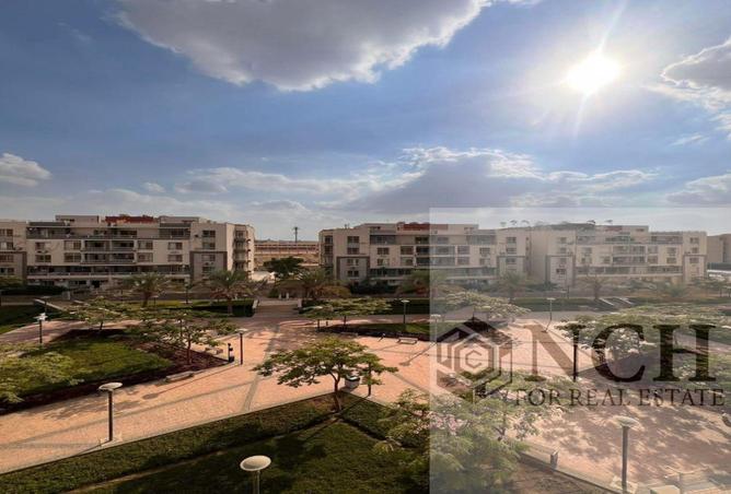 8299036 - Property Image 3