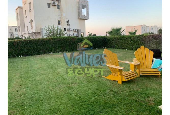 8172367 - صورة العقار 3