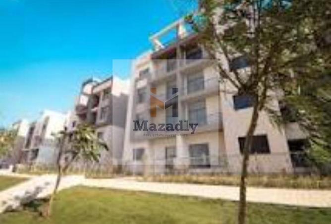 8417721 - Property Image 2