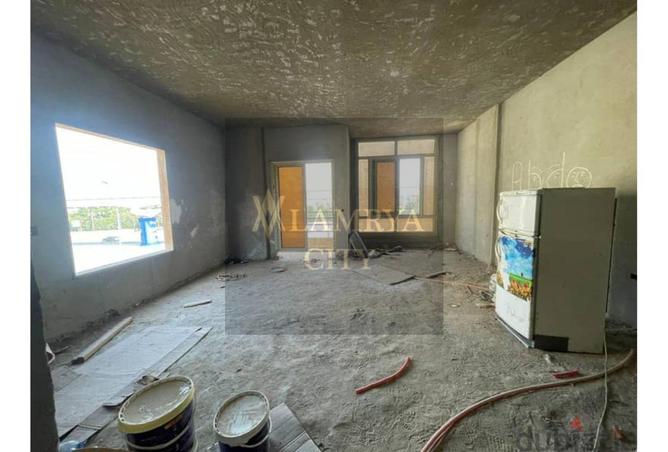 8439833 - Property Image 3