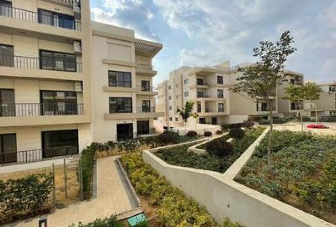 7997428 - Property Image 3