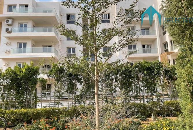 8213168 - صورة العقار 2