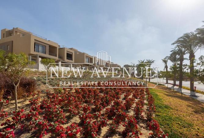 8392535 - Property Image 3