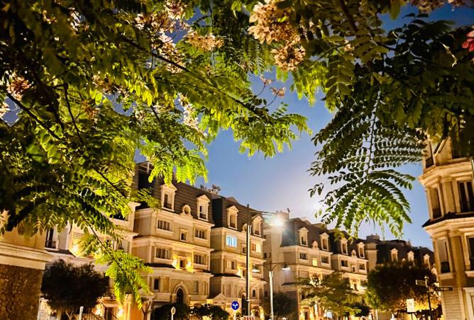 8403124 - صورة العقار 2