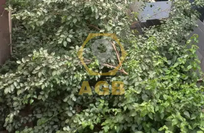 شقة - 2 غرف نوم - 1 حمام للبيع في شارع النصر - اللاسلكي - المعادي الجديدة - حي المعادي - القاهرة