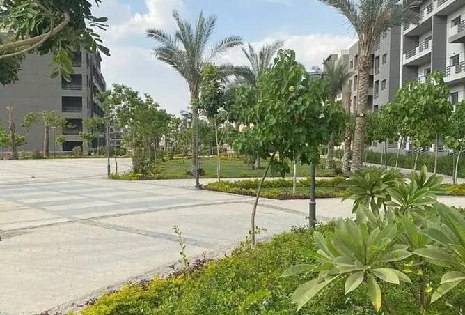 7926497 - صورة العقار 3