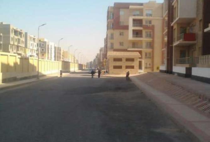 8304156 - Property Image 3