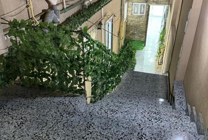 8178749 - Property Image 3