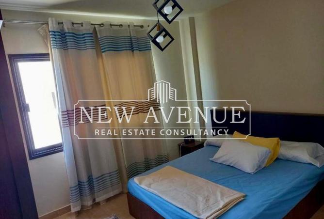 8139259 - Property Image 3