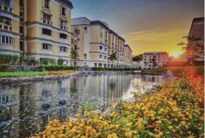 8369093 - Property Image 3