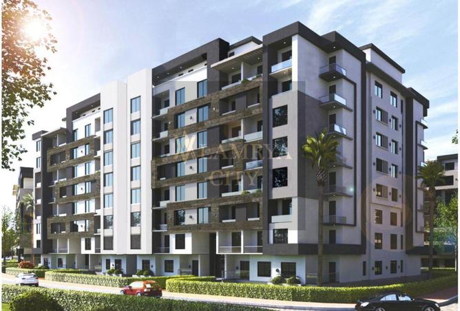 8172327 - Property Image 3