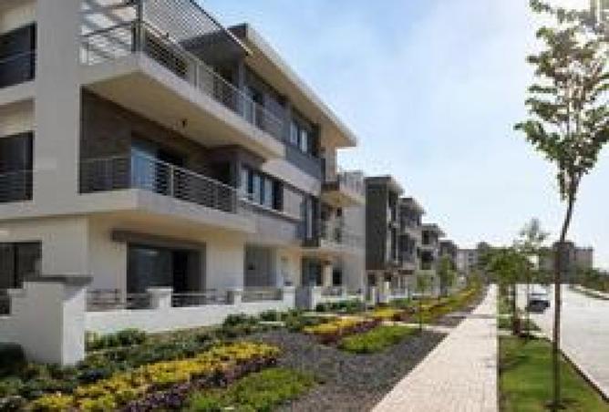 7894977 - Property Image 3