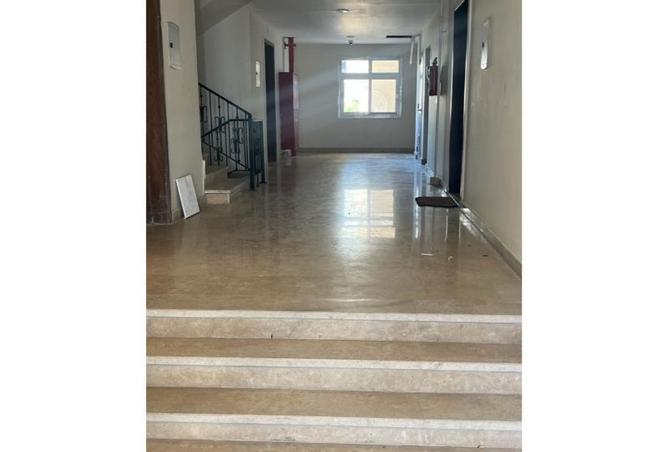 7919560 - Property Image 3