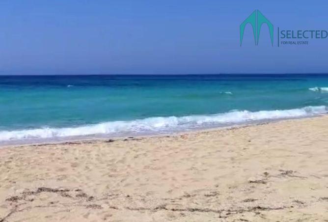 8503904 - Property Image 3