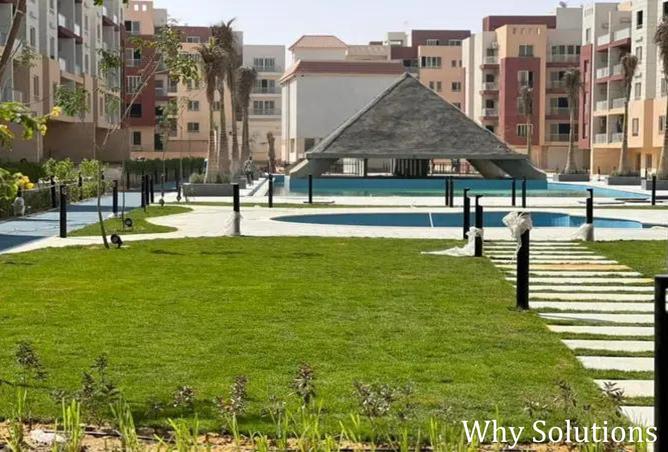 8099858 - Property Image 3