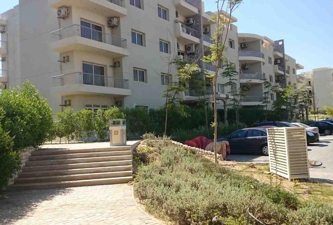 8235293 - Property Image 2