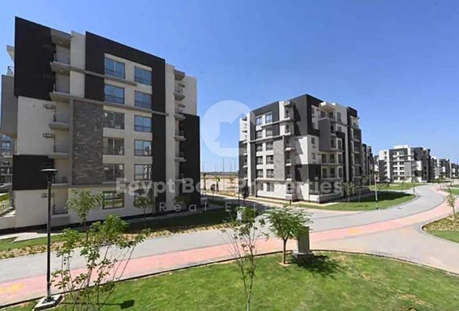 8464984 - Property Image 3