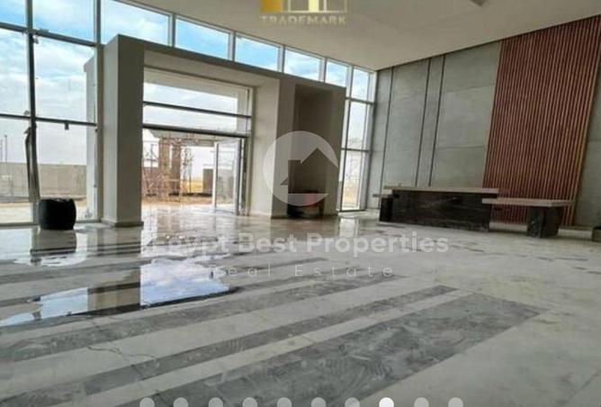 8397359 - Property Image 3