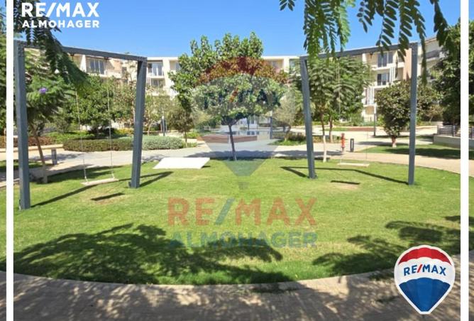 8429598 - Property Image 3