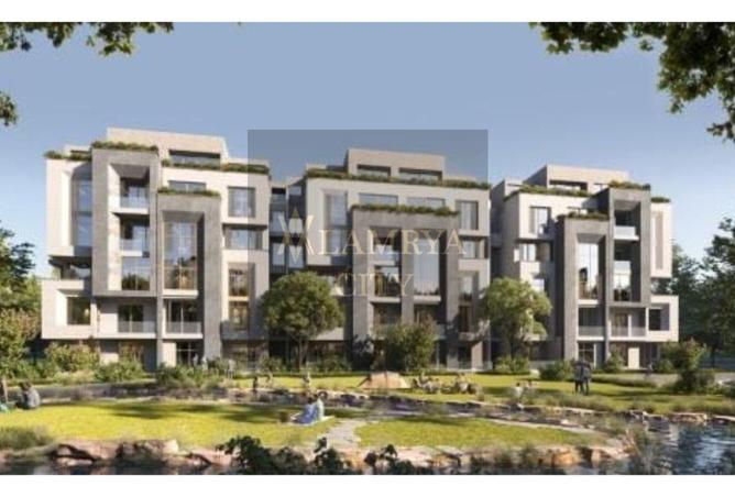 8117530 - Property Image 3