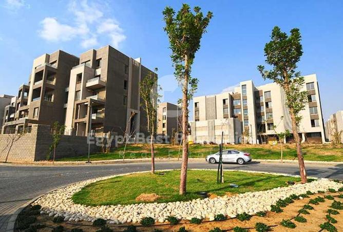 7879495 - الصورة الرئيسية للعقار