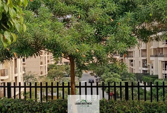 8302544 - صورة العقار 2