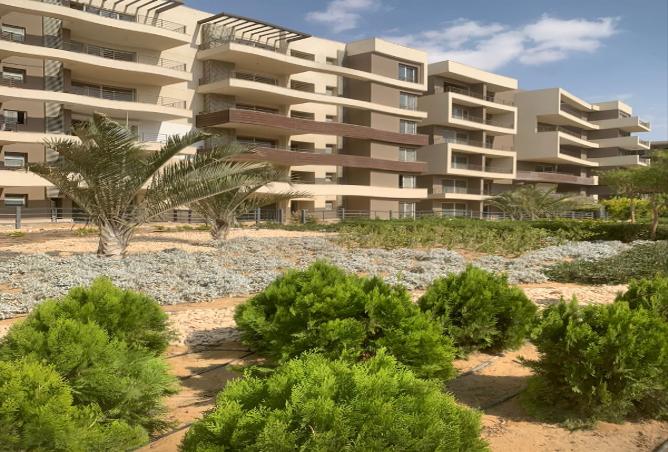 7990592 - Property Image 3