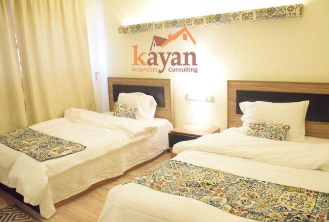 8008234 - Property Image 3