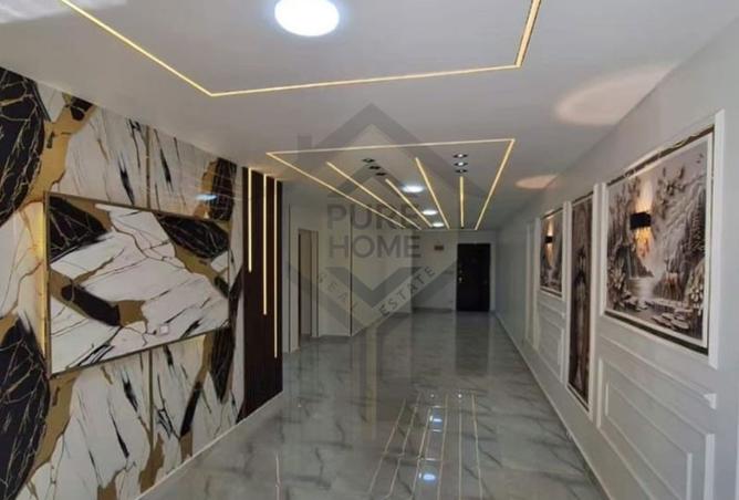 8183444 - Property Image 3