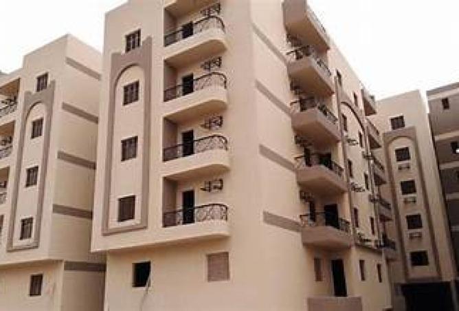 8258011 - Property Image 3