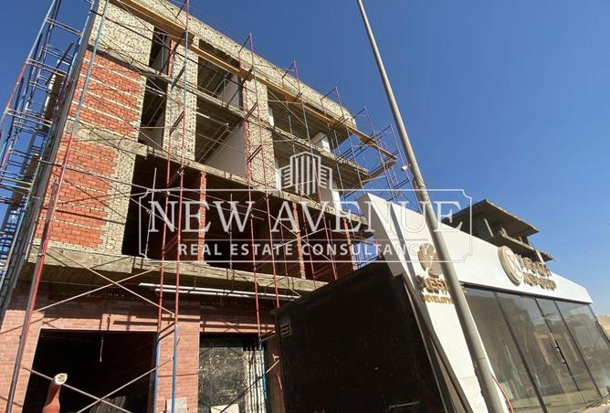 8374575 - Property Image 3