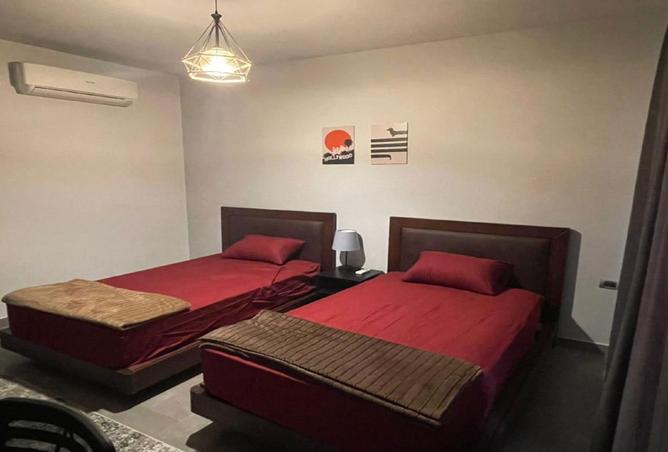 8427459 - Property Image 3