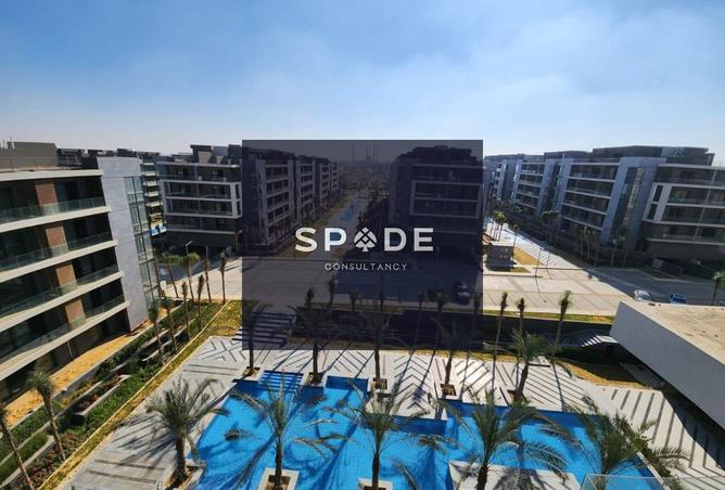 8509819 - Property Image 3