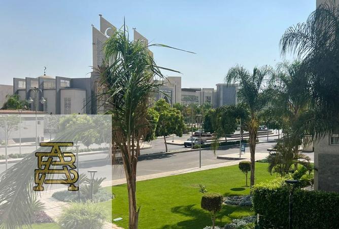 8452823 - Property Image 2