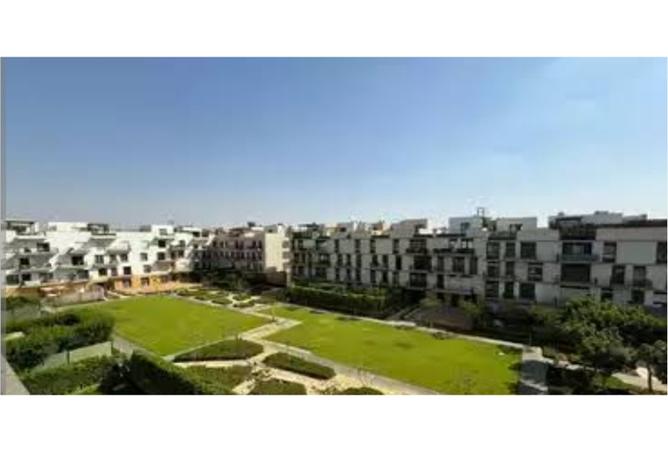 8436529 - Property Image 2