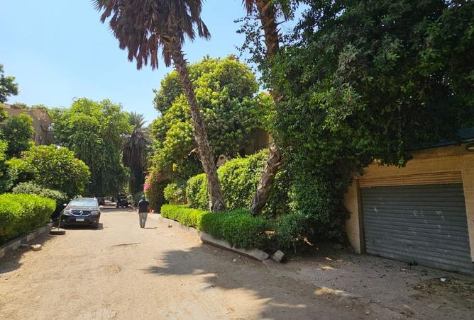 8337956 - Property Image 3