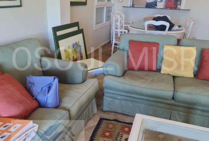 8008972 - Property Image 3