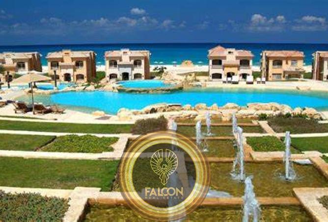 8253341 - صورة العقار 3