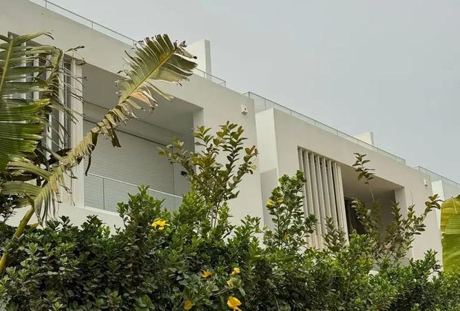 8176843 - صورة العقار 3