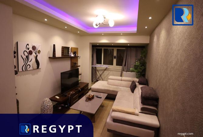 8243874 - Property Image 3