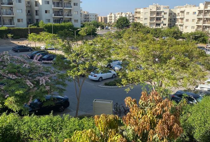 8520919 - Property Image 3