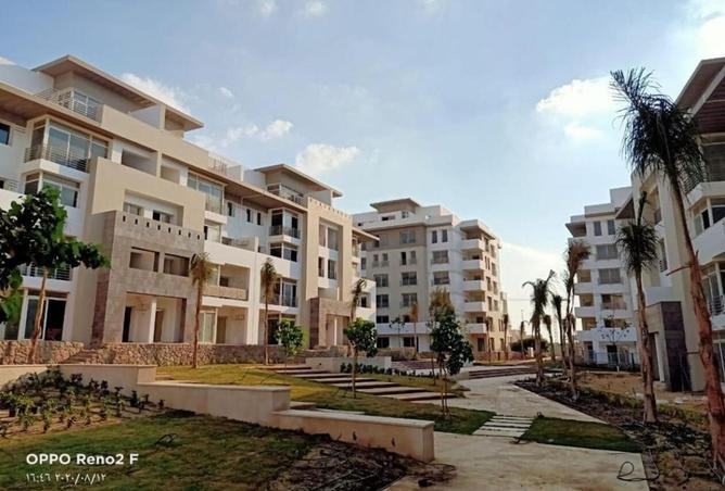7936979 - صورة العقار 2