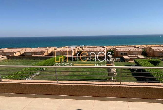 8387730 - Property Image 2