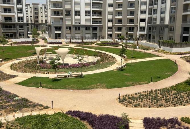 8246116 - صورة العقار 3