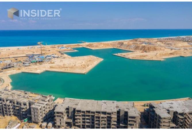 8329501 - Property Image 3