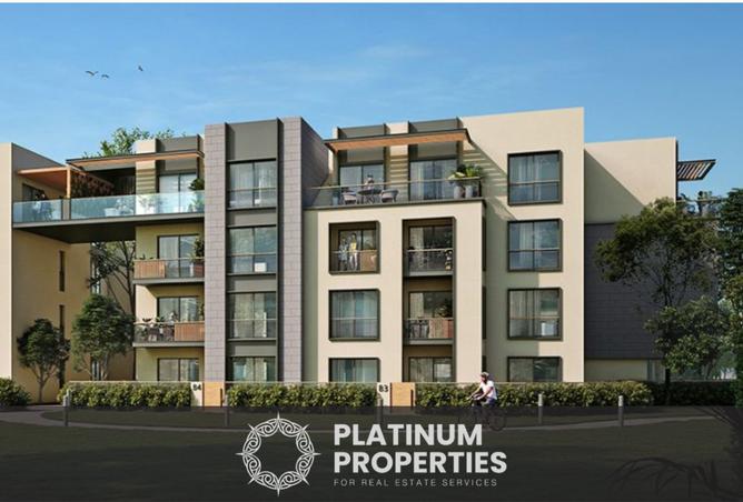 8269827 - Property Image 3